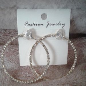 Large Hoop Earrings